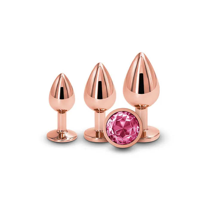 NS Novelties Anal Rear Assets 3pc Rose Gold Anal Training Kit
