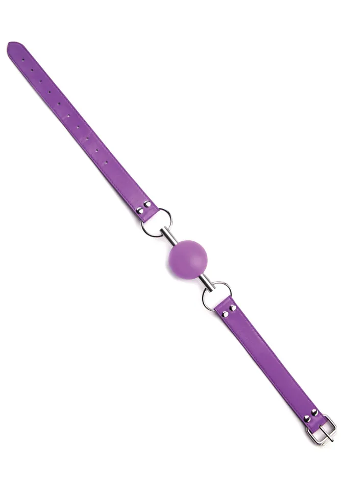 Solid Ball Gag Purple Shots Ouch Vibrators